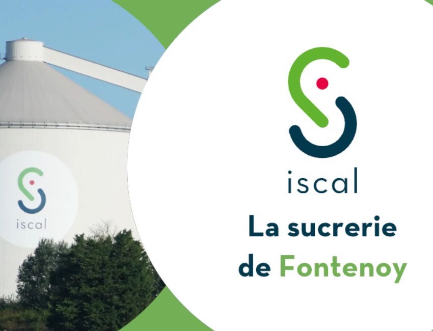 AVIS DE CLIENT LEARN AT LUNCH